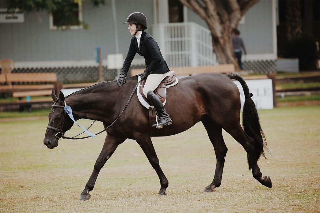 Equestrian Gear & Apparel