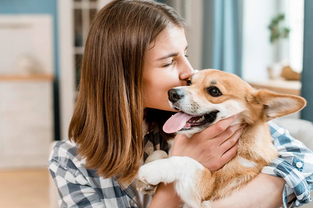 CBD For Pets
