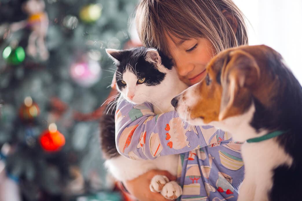 Pet Care & Services