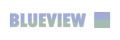 BLUEVIEW Logo