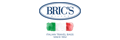 BRIC'S Logo